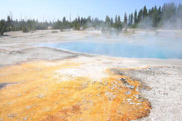 Yellowstone National Park in Wyoming, USA