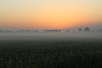Sonneuaufgang im Emsland