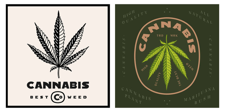 Cannabis modern logo badge template vector trendy