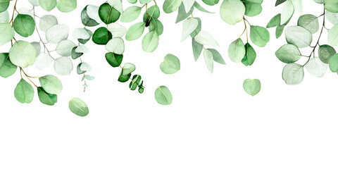 seamless border of leaves and branches of eucalyptus painted in watercolor. green eucalyptus leaves, tropical plant isolated on white background. web banner, frame, border. decoration for postcards