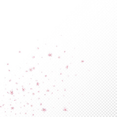 Sakura Cherry Blossom Confetti. Blooming Cosmetics Ad Elegant Floral