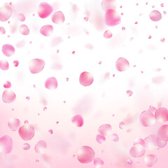 Rose Petals Flying Confetti. Windy Leaves Confetti Frame. Flying