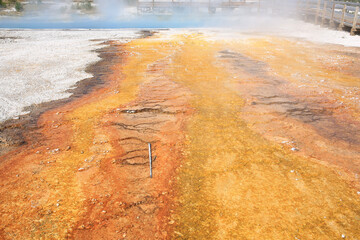 Geyser in Yellowstone National Park, Wyoming, USA