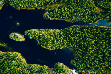 Aerial view of green forests and blue lakes and rivers in summer Finland