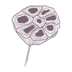 Dry boxes of faded lotus flowers. Minimalistic vector. Square design for cards, wallpapers.