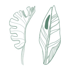 Abstract herb. Vector freehand linear ink drawn backdrop sketchy in art scribble style