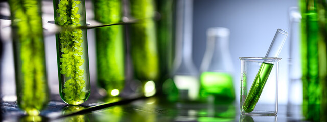 Photobioreactor in medical science laboratory algae fuel biofuel industry, nature algal research,...