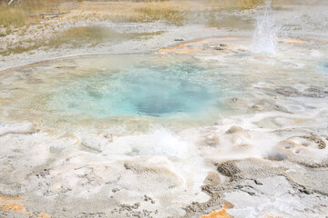 Geyser in Yellowstone National Park, Wyoming, USA