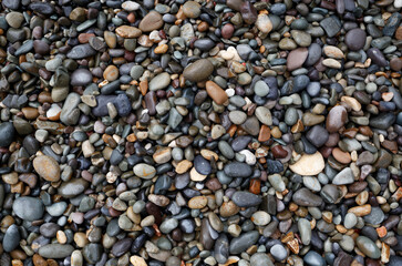 wet gray pebbles on the seashore. great background for design