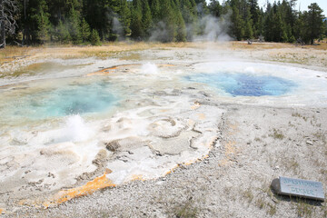 Geyser in Yellowstone National Park, Wyoming, USA