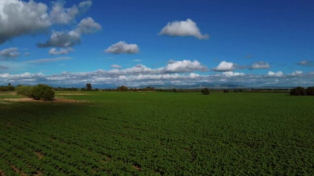 Vuelo de drone por la campi&ntilde;a y zona rural de jerez de la frontera