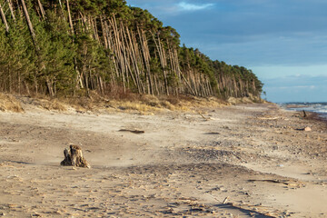 Fototapeta na wymiar Baltic sea coast near Klaipeda harbour in Lithuania. The area is known as the Dutch Hat because of the dunes formed in a similar shape as old style Dutch cap.