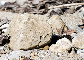 stone on the beach