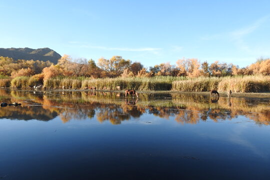 The beautiful scenery of the Lower Salt River Area, in the Sonoran Desert, Arizona. © Scenic Corner