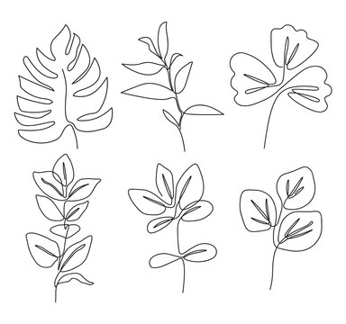 One line continuous of plant set, single line drawing art, tropical leaves, botanical plant isolated, simple art design, abstract line outline, vector for frame, fashion design, packaging