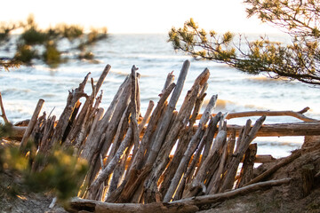 Baltic sea coast in Lithuania. Wooden shelter from wind between pine trees in costal forest near Klaipeda. 