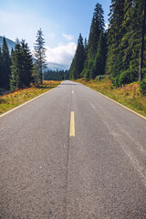 Naklejka premium Empty asphalt road with cloudy sky and sunlight in mountains and forest. Transalpina landscape, Romania.