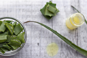Pieces of aloe plant with gel inside in a glass bowl close-up. Alternative medicine. Collection of aloe juice, for the treatment of skin diseases.