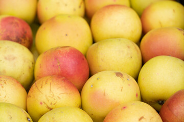 apples on the counter in the store