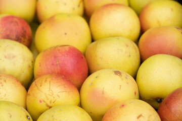 apples on the counter in the store