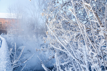 Winter nature landscape. Frosty trees on river side. Winter morning sunrise.