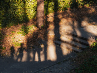 shadows of three figures on a forest background, an adult and two children