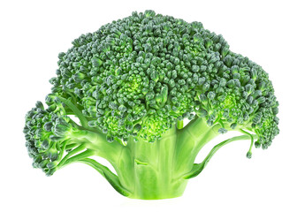 Fresh broccoli cabbage isolated on a white background
