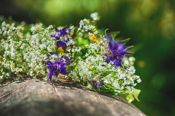 Beautiful summer flowers on natural background.