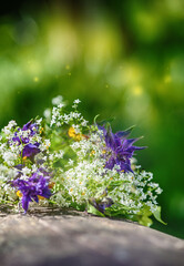 Beautiful summer flowers on blurred natural background.