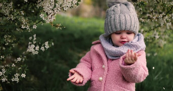 cute toddler baby girl cropping the flowers from blooming tree in spring garden