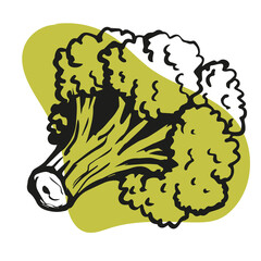broccoli, hand drawn cabbage, linear, black and white vegetable, healthy eating, wholesome food, vegetarian, vitamin b12, stylized vector graphics