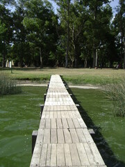 Fototapeta na wymiar wooden bridge in the lake