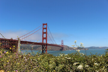 View of the Golden Gate Bridge on a sunny summer day.