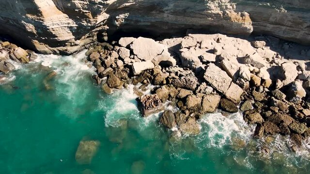 Lobos Marinos - Patagonia - Parque Makenke	
