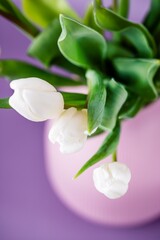 Bouquet of white tulips in a pink vase in the violet background