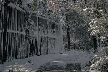 Snow covered security fences in the forest