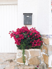 Fototapeta na wymiar Mediterranean style decorated with red flowers facades, Bougainville typical spanish outdoor plant