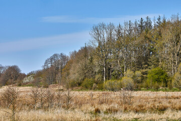 Obraz premium flusstal