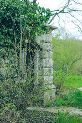 an old crypt overgrown with moss in a fairy forest. mysterious glade by the lake.