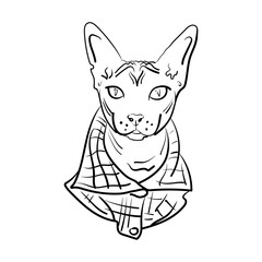 Drawing of the muzzle of a cat in a plaid shirt. Black and white vector illustration for gloves on textiles, packaging design, postcards, magazines.