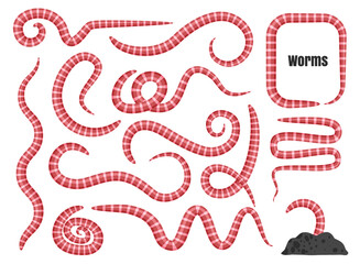 Fototapeta premium Earth Worm Set, Earthworms, Pink Segmented Soil Worms, Annelida