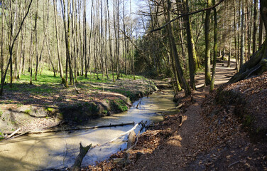 Furlbach im Naturschutzgebiet Furlbachtal, Rundwanderweg, Schloß Holte-Stukenbrock, Kreis Gütersloh, Ostwestfalen-Lippe
