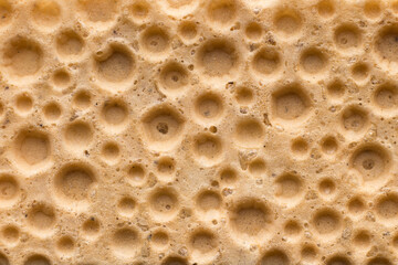 Textured surface of the dietetic crispbread looks like the craters of the moon. Full frame macro shot.