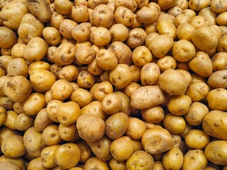 Large pile of potatoes on market counter. Food background. Potatoes harvest concept.