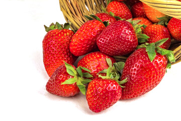 Many fresh strawberry berries falling out of wicker basket isolated on white background. Harvesting picking up berries concept. Side view. Close up.