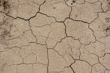 cracked clay ground into the dry season