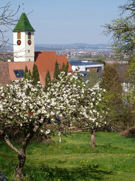Filderstadt - Plattenhardt im Frühling