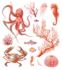 Watercolor red sea animals and plants: crab, octopus, jelly fish, coral and seahorse. Poster with nautical creatures isolated on white background. Underwater clipart