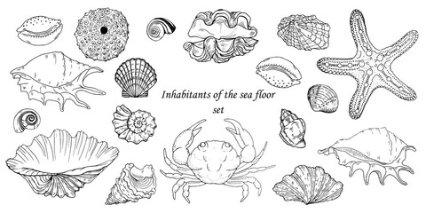 Inhabitants of the sea floor set