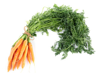Carrot bunch with tops on white background
